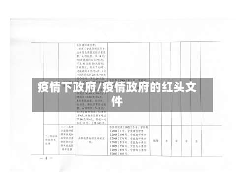 疫情下政府/疫情政府的红头文件-第3张图片