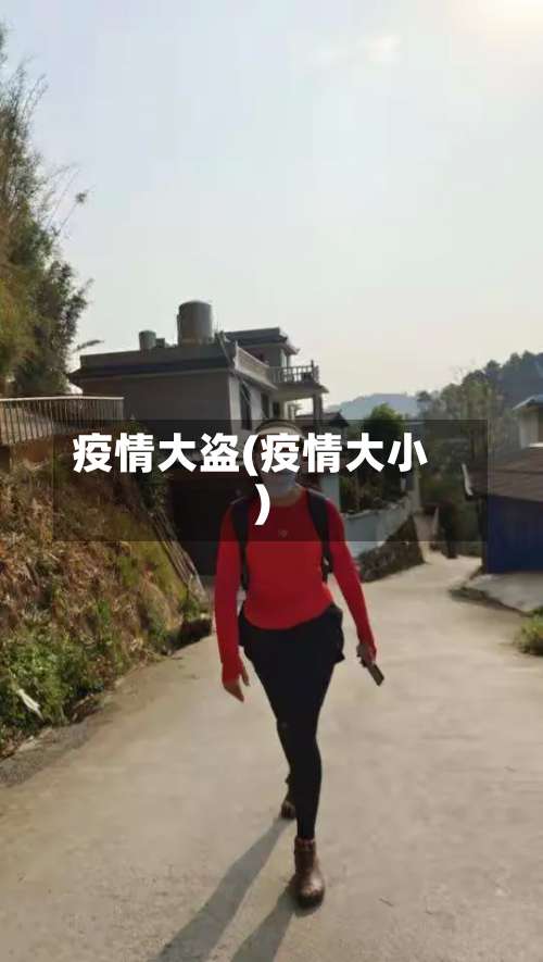 疫情大盗(疫情大小)-第2张图片