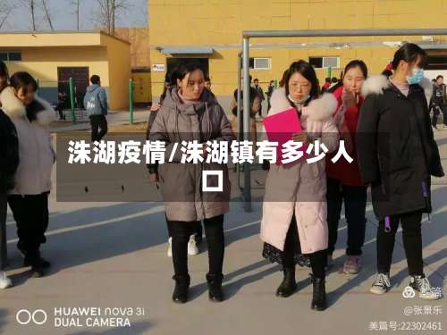 洙湖疫情/洙湖镇有多少人口-第3张图片