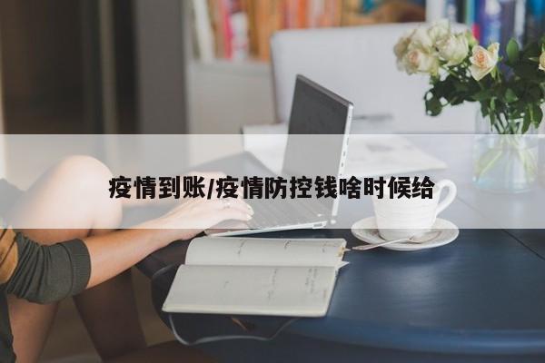 疫情到账/疫情防控钱啥时候给