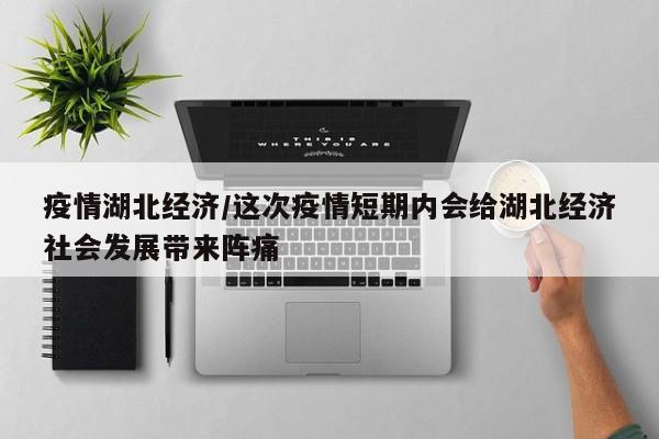 疫情湖北经济/这次疫情短期内会给湖北经济社会发展带来阵痛