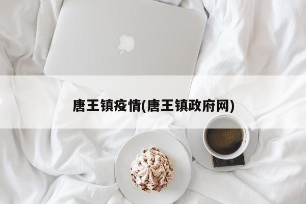 唐王镇疫情(唐王镇政府网)