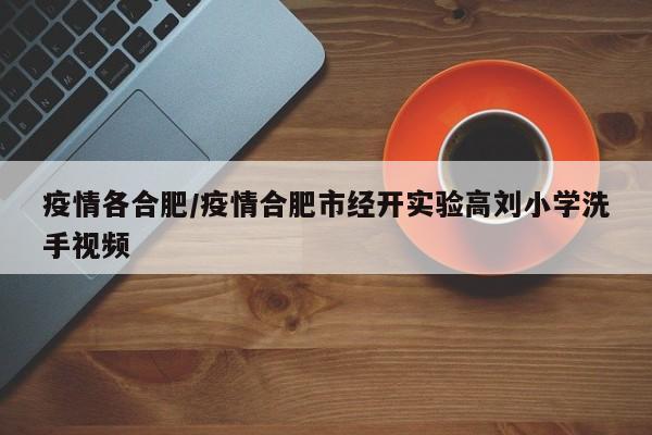 疫情各合肥/疫情合肥市经开实验高刘小学洗手视频